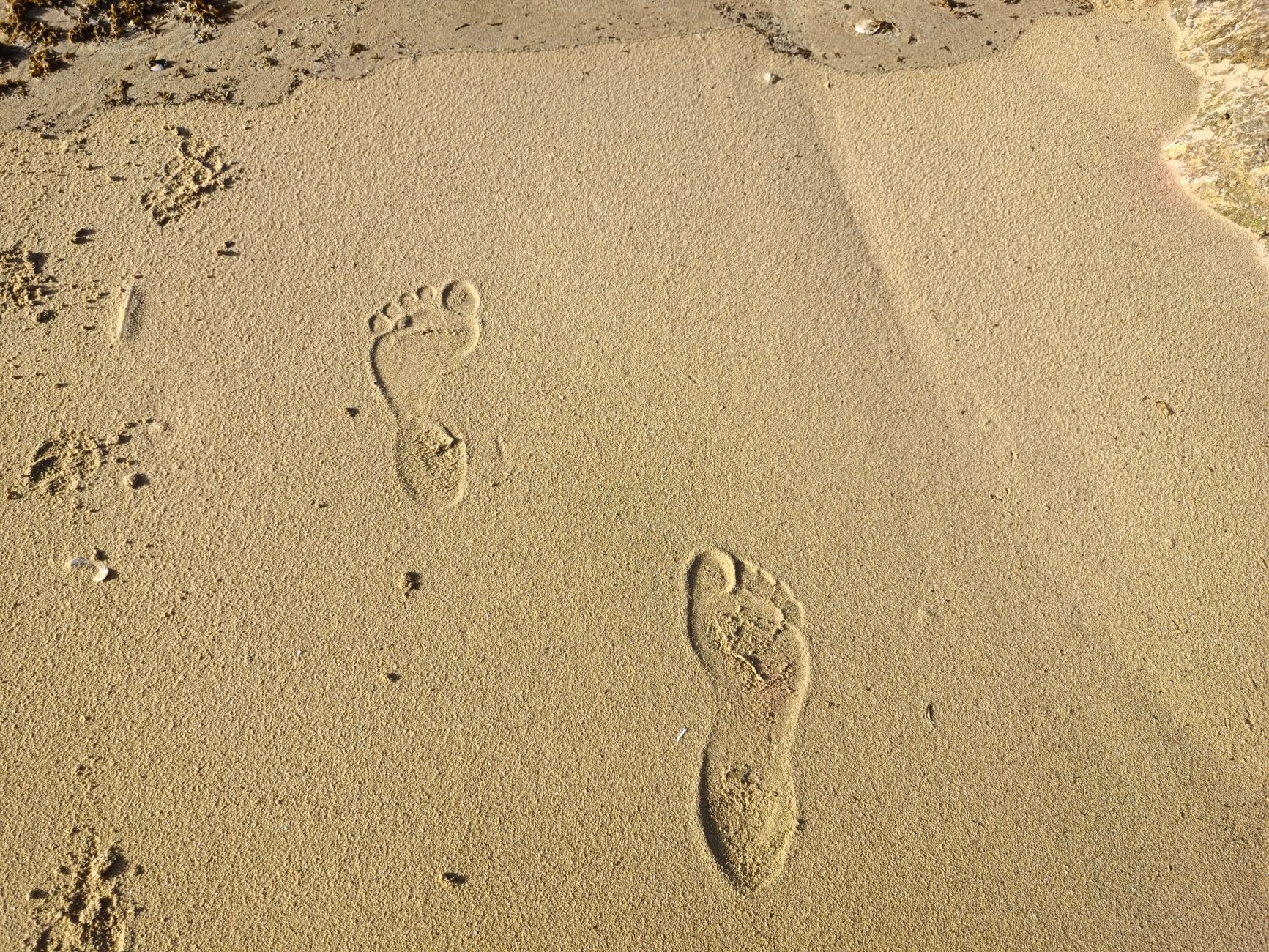 1. Footprint SEO là gì? - Footprint SEO Là Gì? Kết Hợp Footprint Trong SEO Là Gì? chiến lược tối ưu hiệu quả 2026