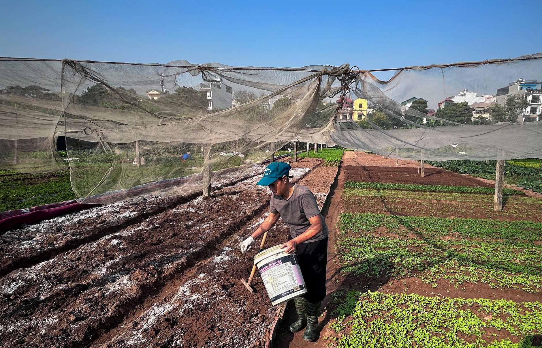 1. Text Classification Là Gì? Vì Sao Nó Quan Trọng Với SEO? - Phân Loại Chủ Đề SEO Bằng Text Classification: Cách Mạng H