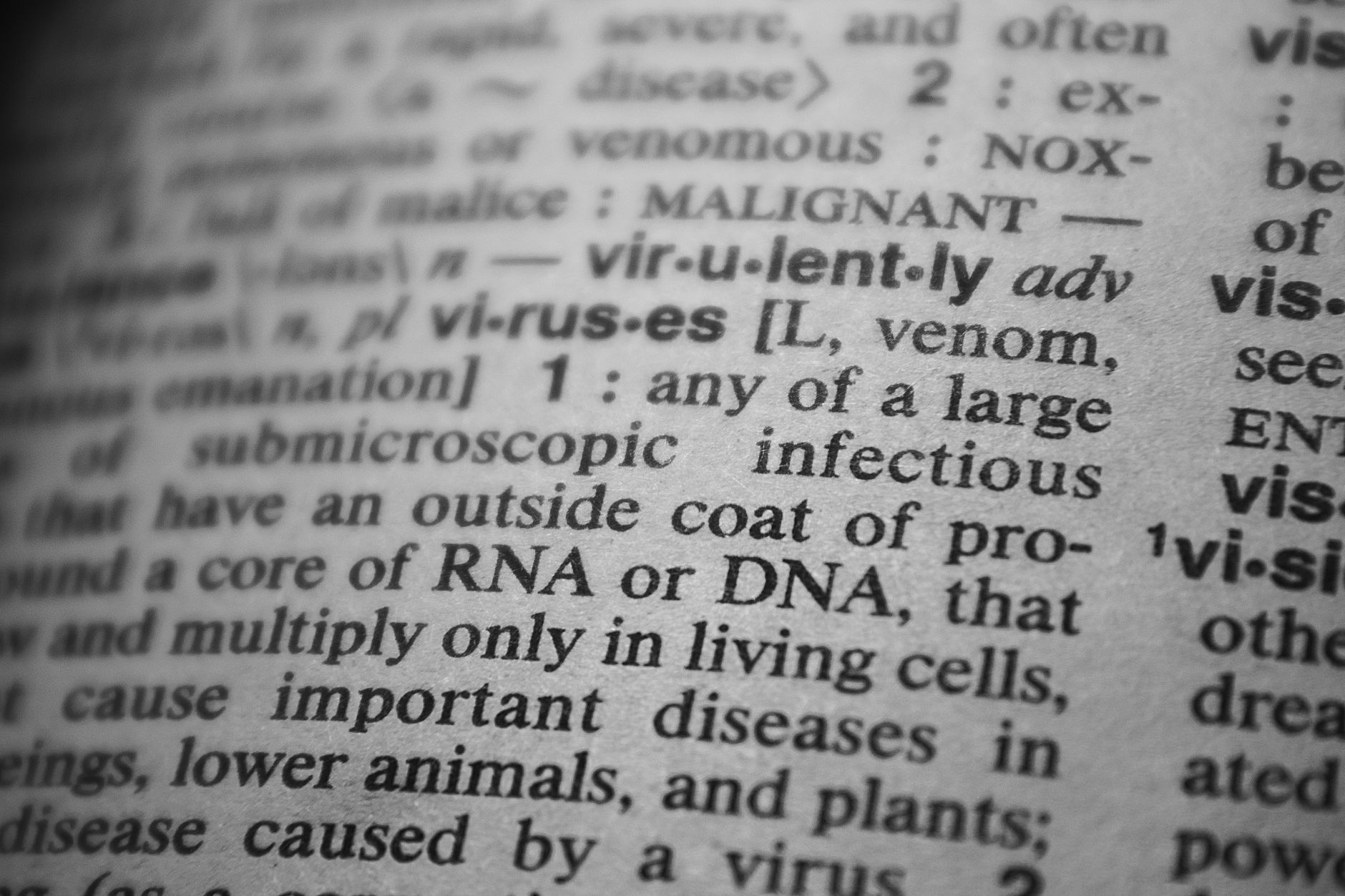 1. Semantic Content Là Gì? Hiểu Đúng Để Áp Dụng Hiệu Quả - Semantic Content Là Gì Và Xu Hướng Semantic Content: Nên Chọn