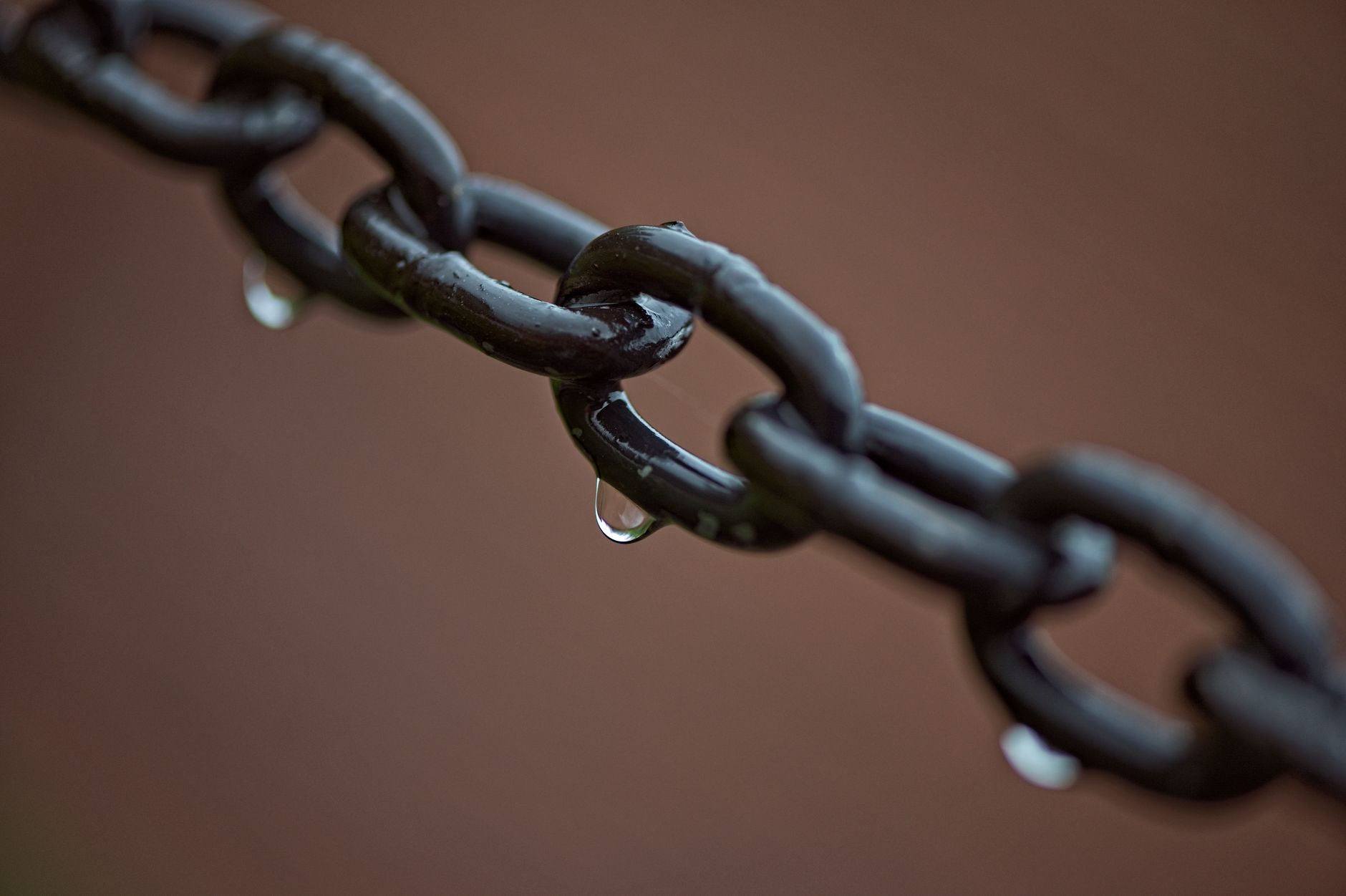 1. Backlink Là Gì? Định Nghĩa Cốt Lõi Mà Bạn Cần Hiểu - So Sánh Backlink Là Gì Và Backlink: Nên Chọn Cái Nào Cho Doanh N