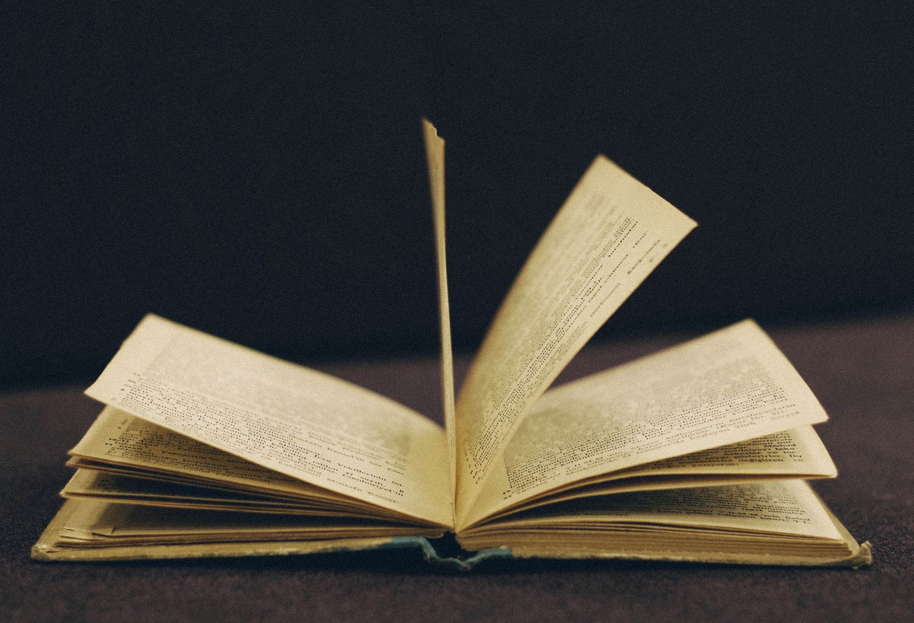 SEO Là Gì? Vì Sao Bạn Cần Cả On Page Và Off Page? - Từ Off Page SEO Đến On Page SEO: Lộ Trình Hoàn Chỉnh Cho Người Mới (