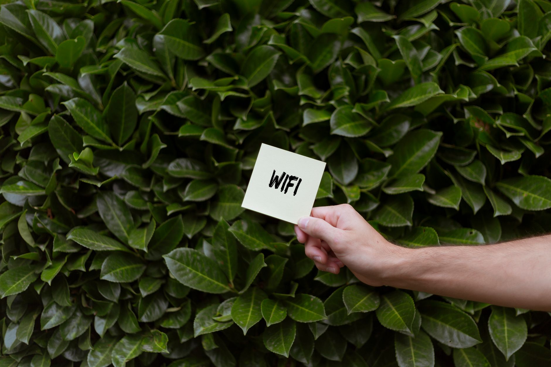 1. Wifi Marketing Là Gì? Định Nghĩa Đơn Giản Mà Hiệu Quả - Wifi Marketing Là Gì? Cách Biến Mạng Wifi Miễn Phí Thành "Cỗ 