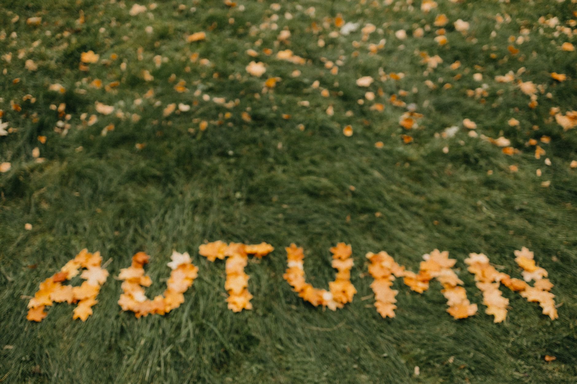 Word Of Mouth Marketing (WOMM) Là Gì? - Word Of Mouth Marketing (WOMM) Là Gì? Marketing Truyền Miệng: Hướng Dẫn Toàn Diệ